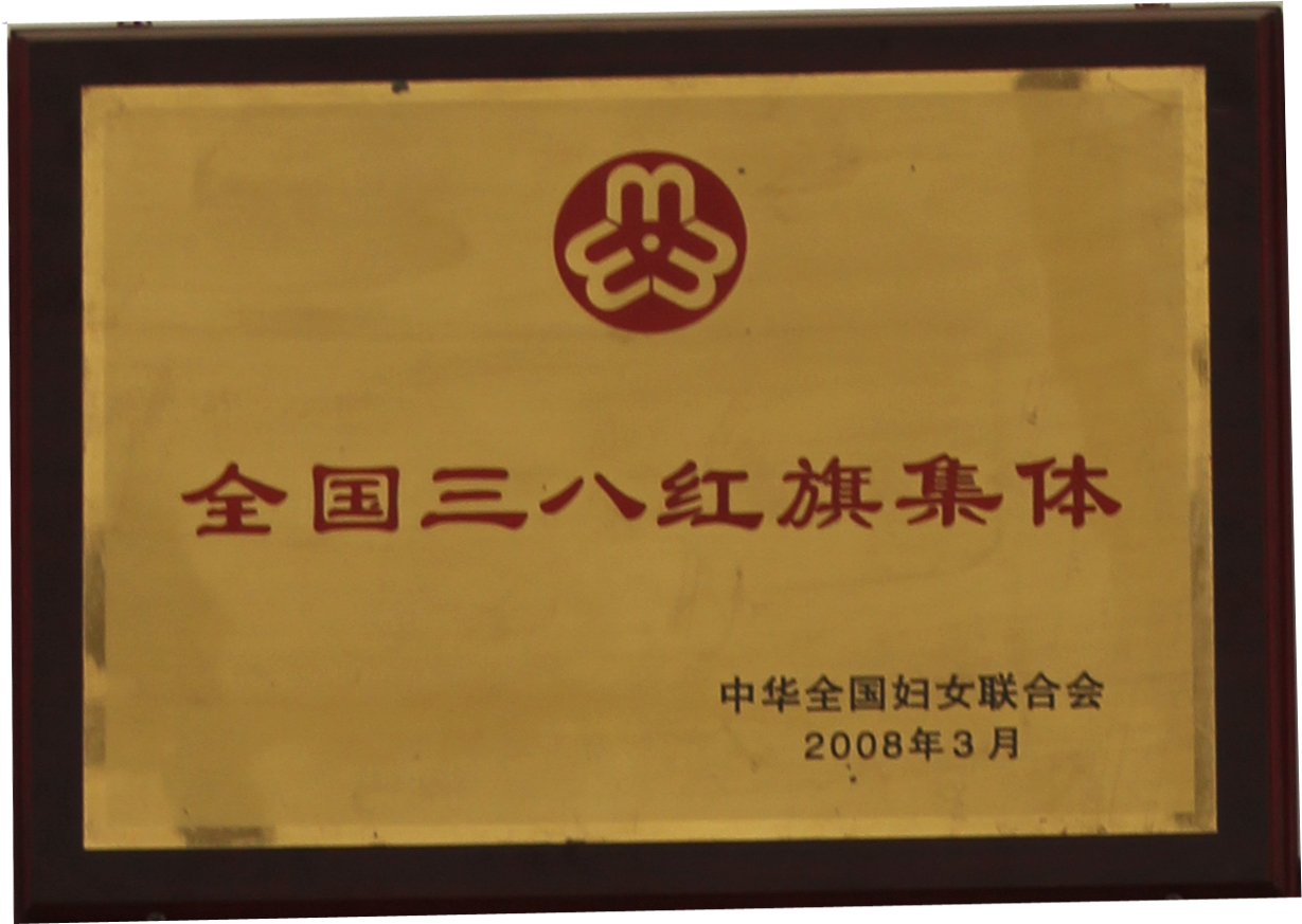 2008年全国三八红旗集体