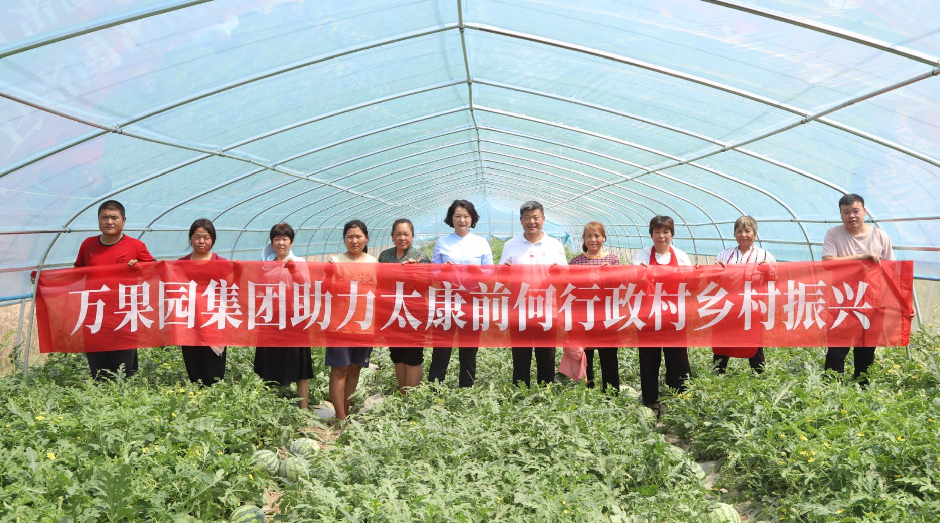 商業(ye)公司采(cai)購兩萬余斤西瓜 助力太康鄉村(cun)振興