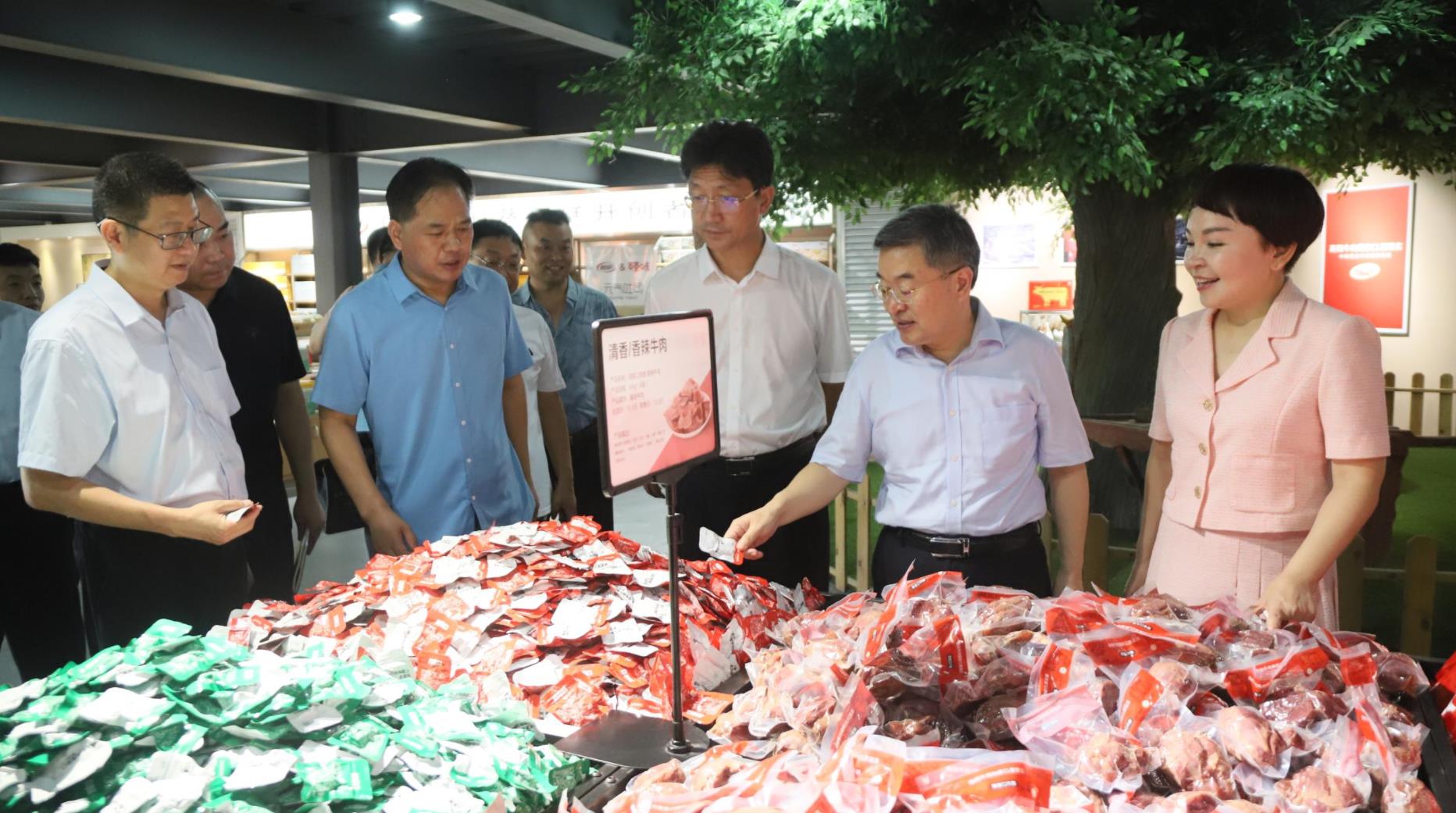 市(shi)委常委、統戰部(bu)長皇甫立新蒞臨我公司調研