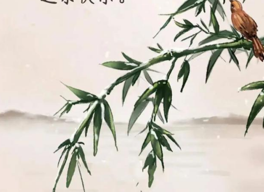 1780903479504135.png 6da2bde606f226b669d29996aa9b2d56.png