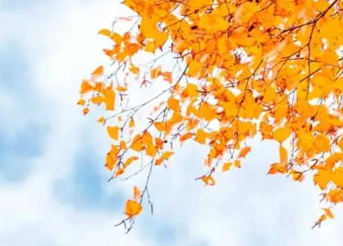 1780903909196100.png b86b7c45a5c8de8a7b80fdec49bfa038.png