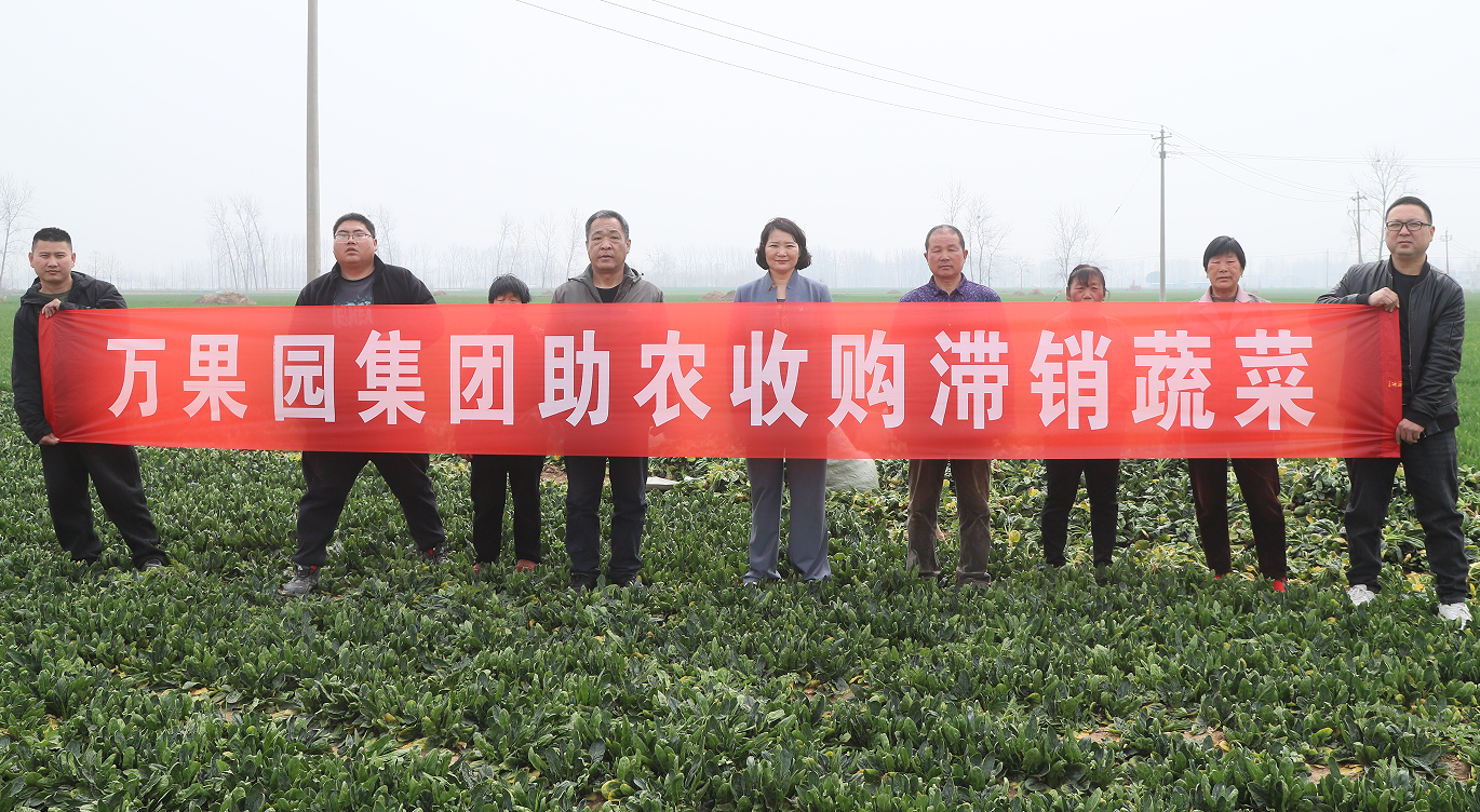 收购滞销菠菜  商业连锁公司持续开展助农行动