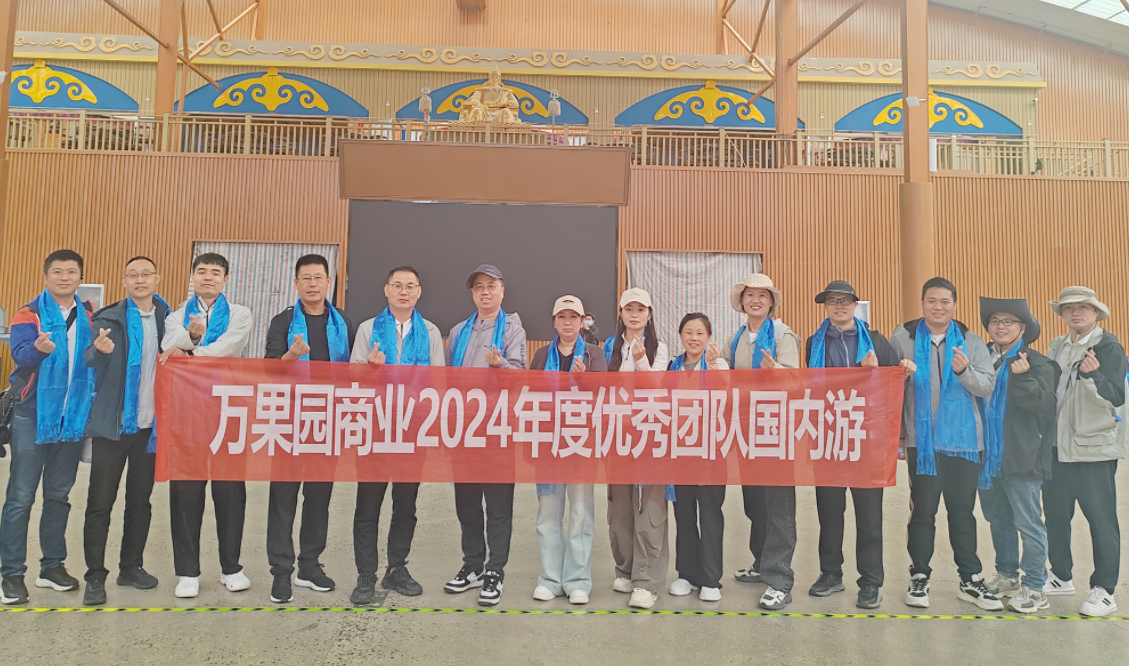 商业公司奖励年度优秀团队国内旅游