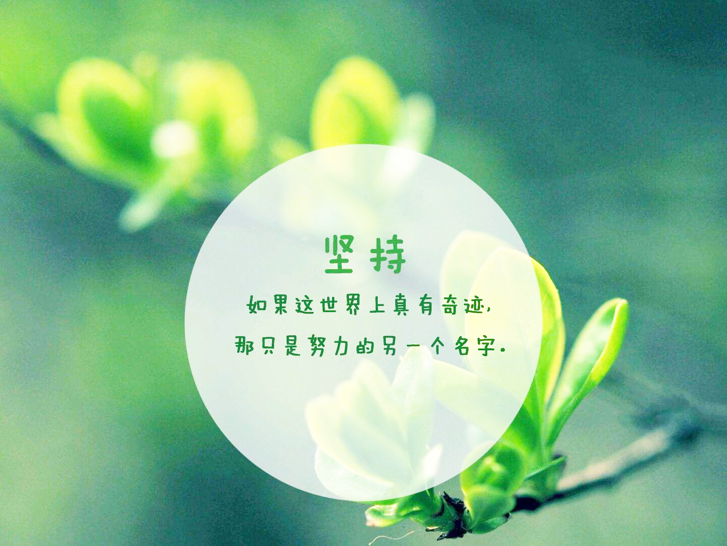 感恩的心