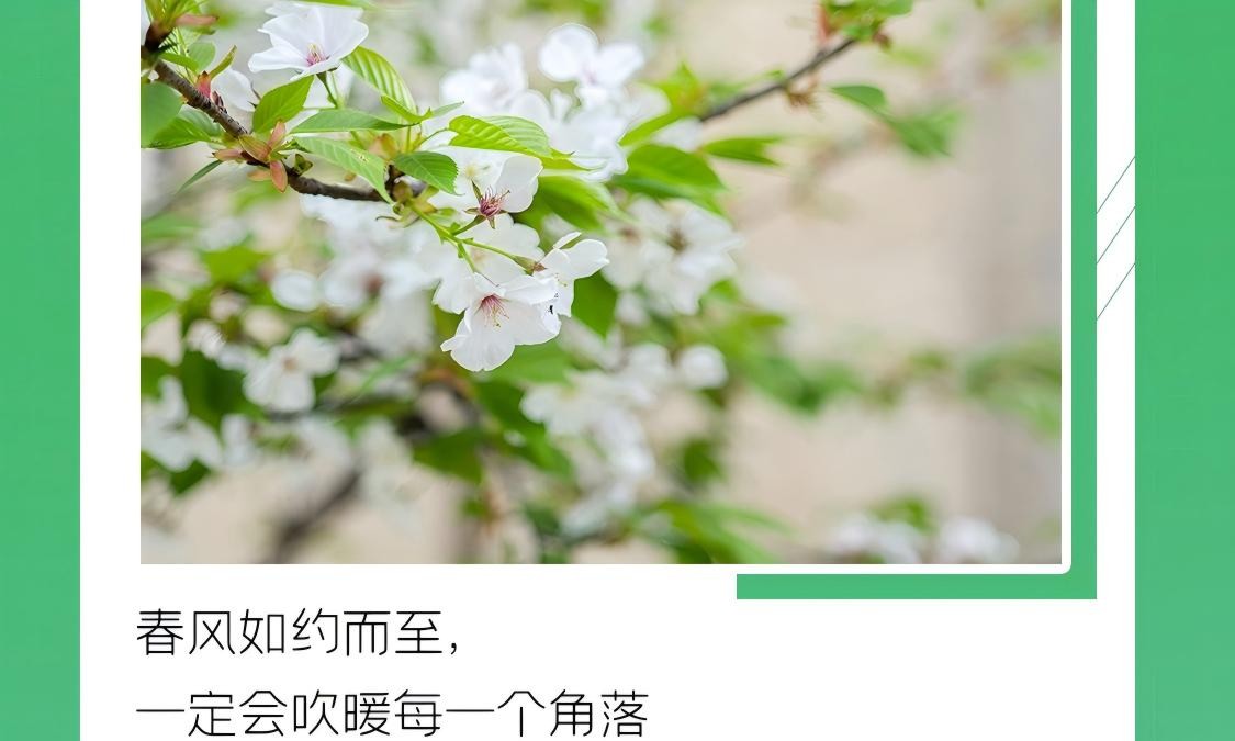 服务无止境    46店服务标兵顾倚帆