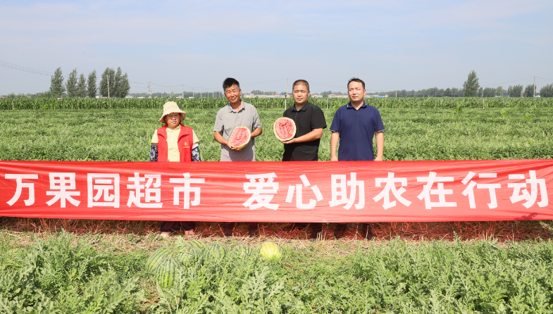 “滞销瓜”变“爱心瓜”接力助农“顶瓜瓜”  万果园超市收购10万斤滞销西瓜 请全市人民免费吃瓜