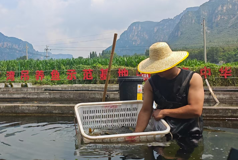商业连锁：产地溯源直播 直击源头好味