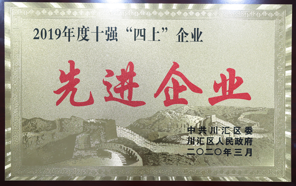 2019年十强四上先进企业