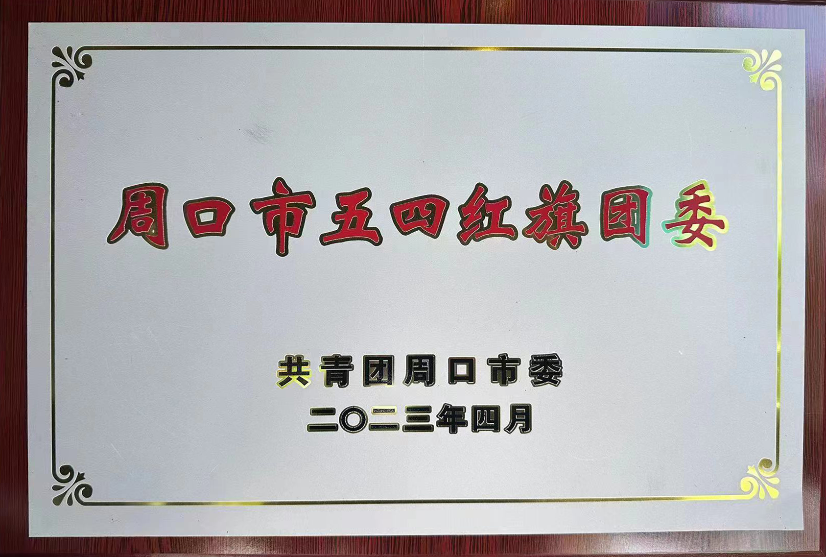 2025年周口市五四红旗团委